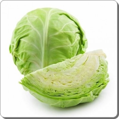 BẮP CẢI TRẮNG